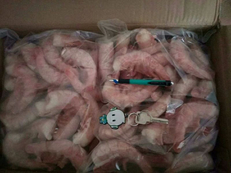 阿根廷红虾L1