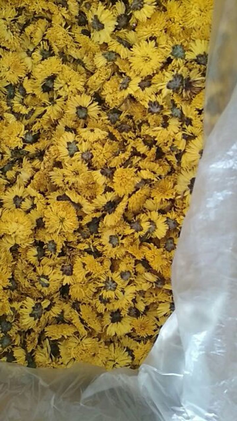 皇菊茶一级