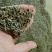 苍术苍术种子新产50斤