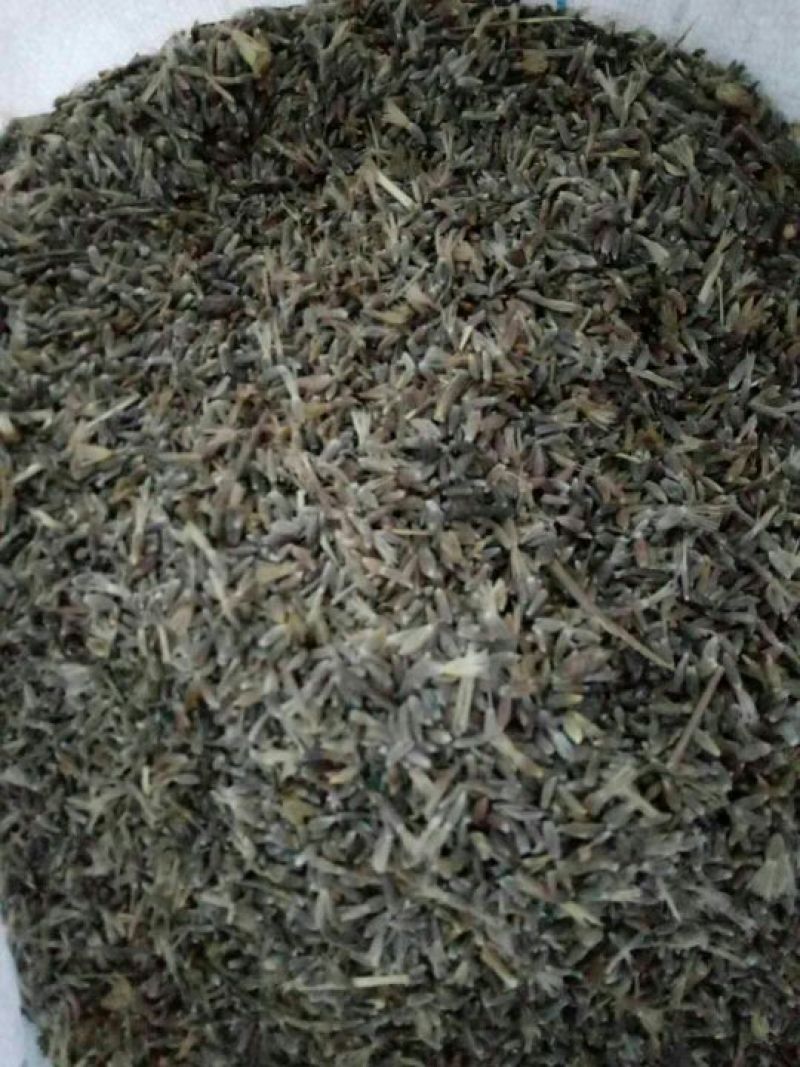 苍术苍术种子新产50斤
