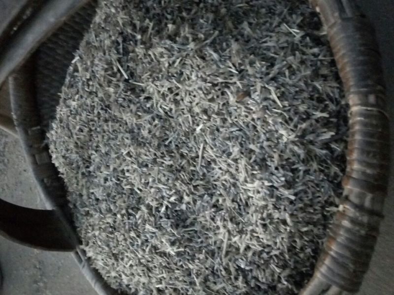 苍术种子