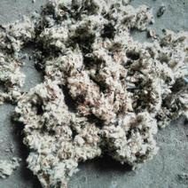 棉籽壳磨盘细壳多绒朵粉