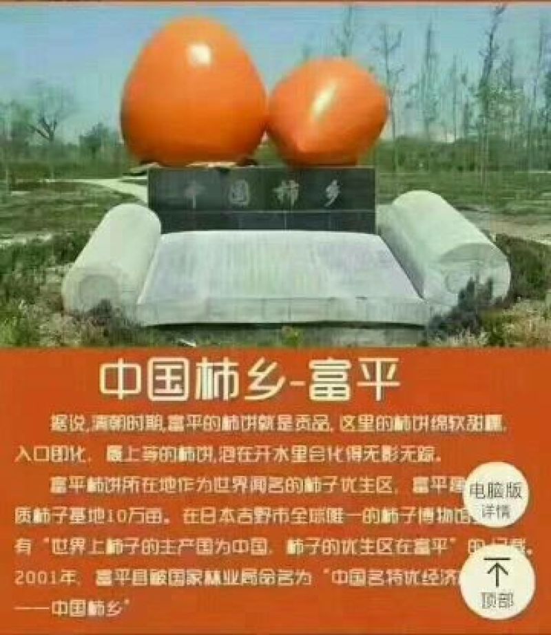 柿饼1两以下