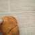 鸡宝