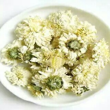 药用菊花散装