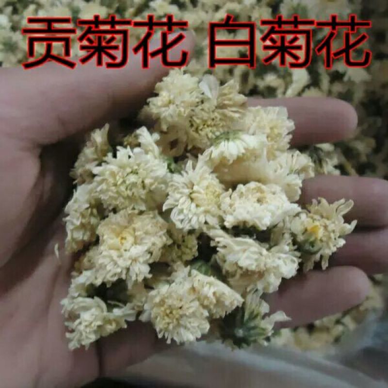 杭白菊散装