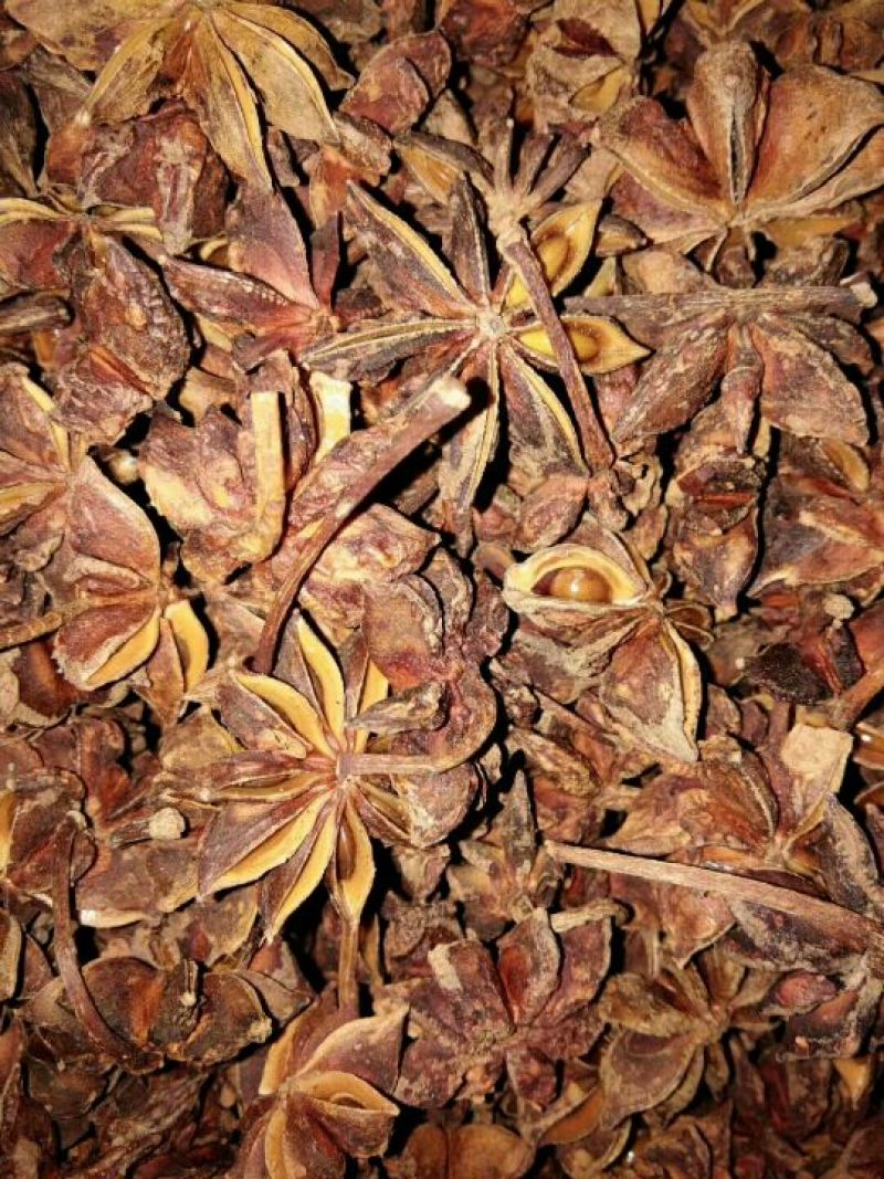香肠