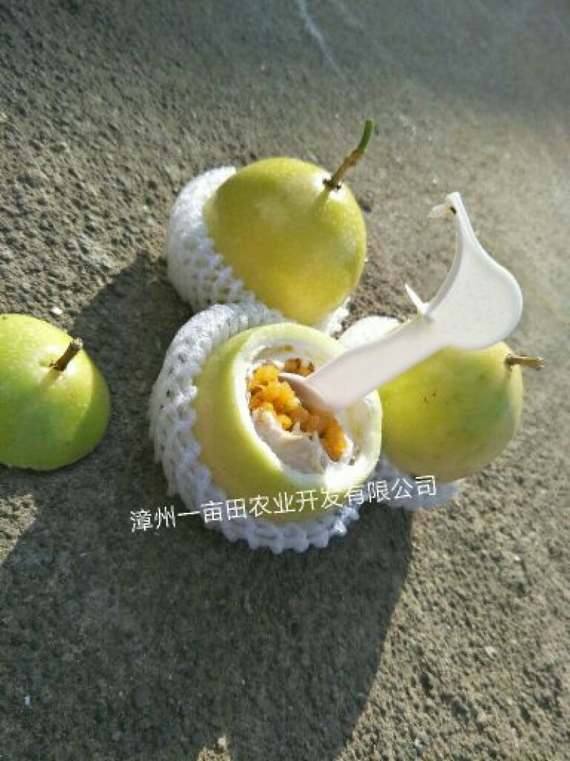 黄金百香果黄果90~100g
