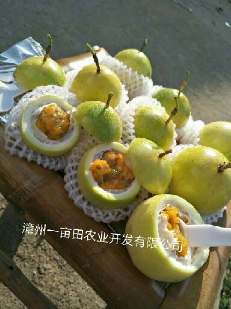 黄金百香果黄果90~100g