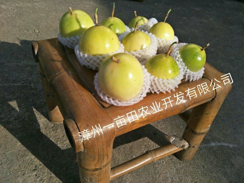 黄金百香果黄果90~100g