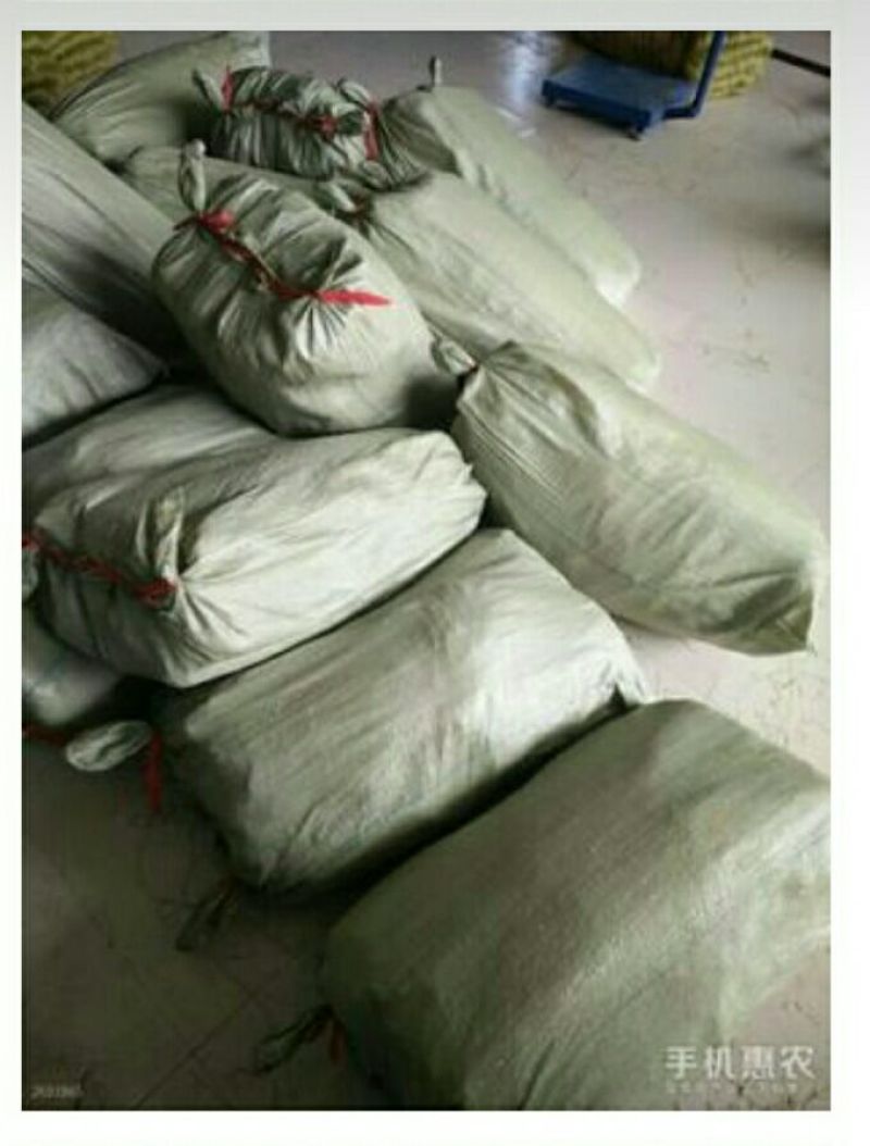 红薯粉丝散装