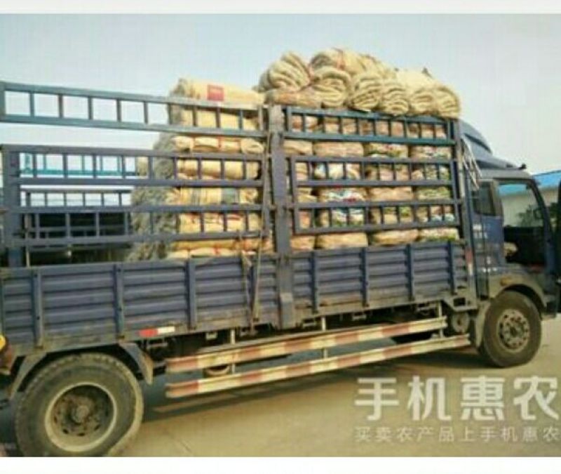 红薯粉丝散装