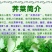 荠菜种子