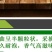 绿茶绿茶