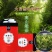 绿茶绿茶