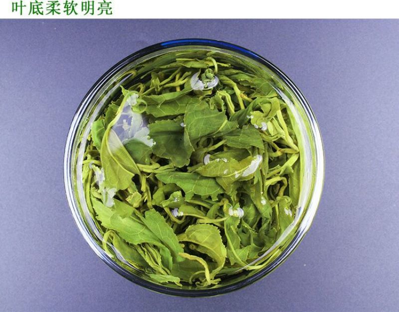 绿茶绿茶