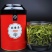 绿茶绿茶