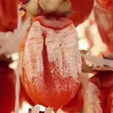 柿饼1~2两