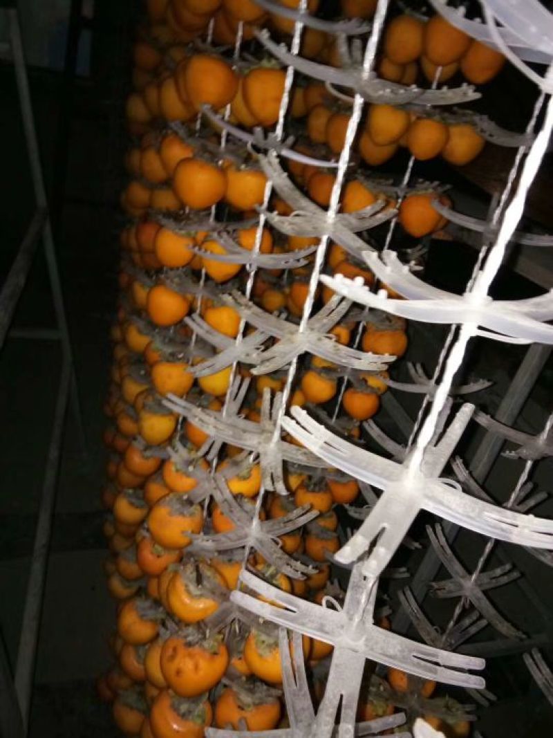 柿饼1~2两