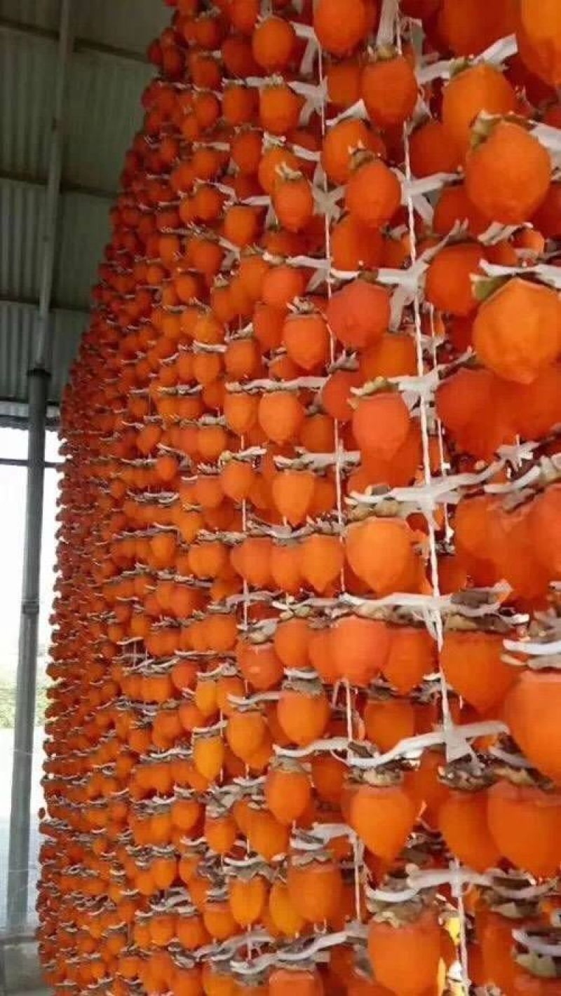 柿饼1~2两