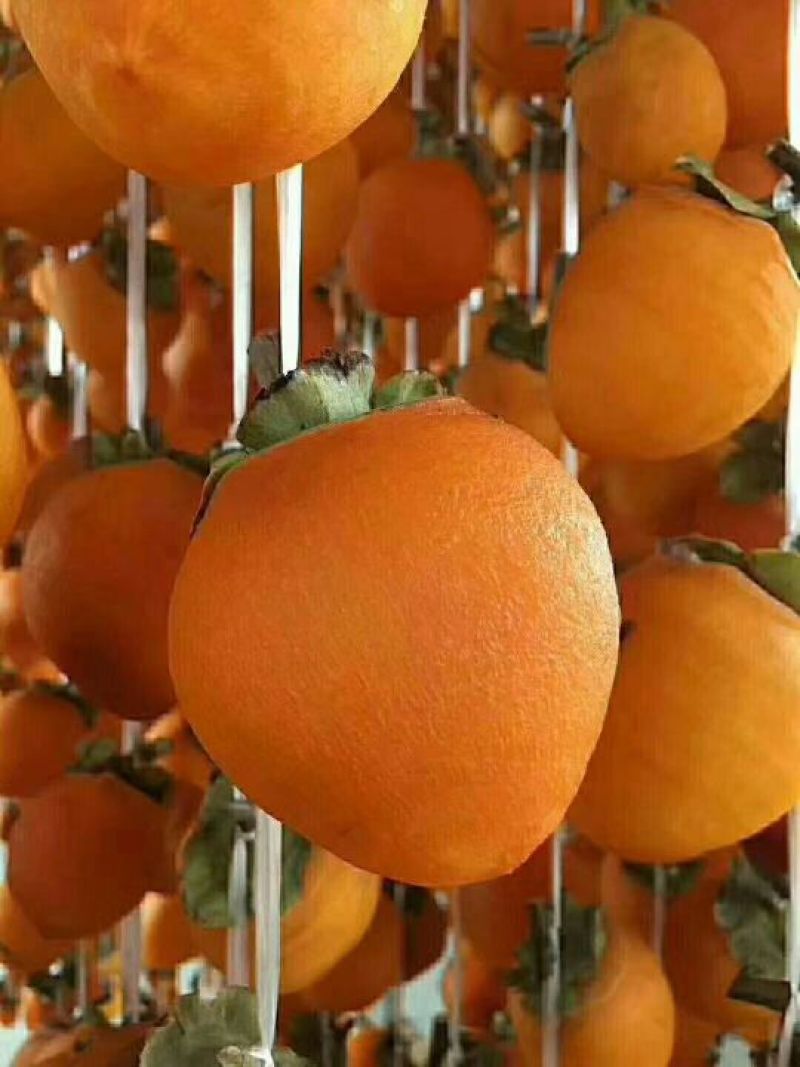 柿饼1~2两