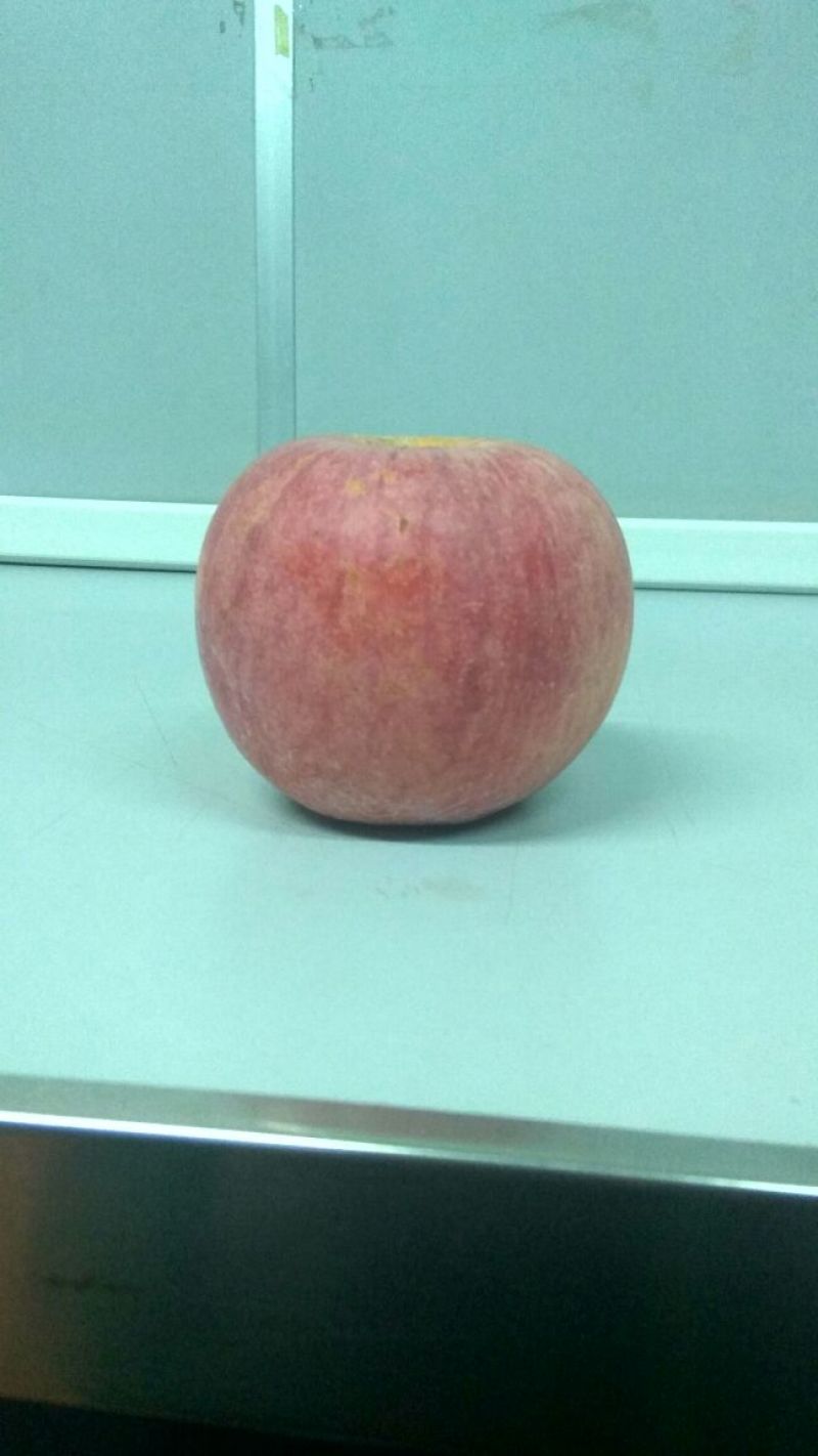 红富士苹果75mm以上膜袋
