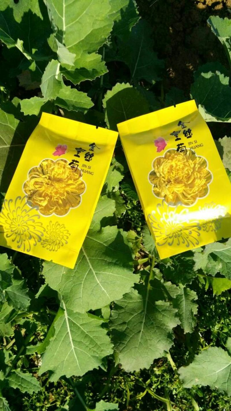 金丝皇菊茶一级