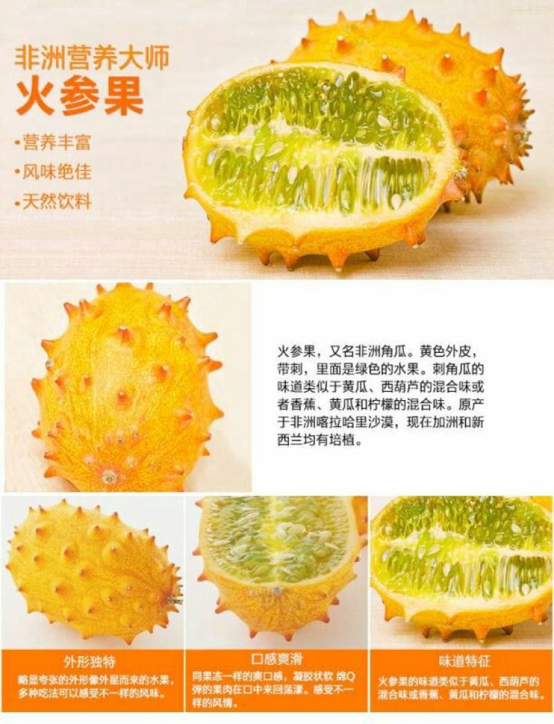 刺角瓜火参果刺角瓜