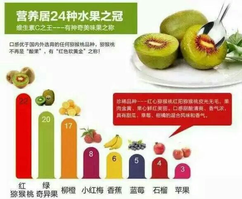 红心猕猴桃苗品质保证
