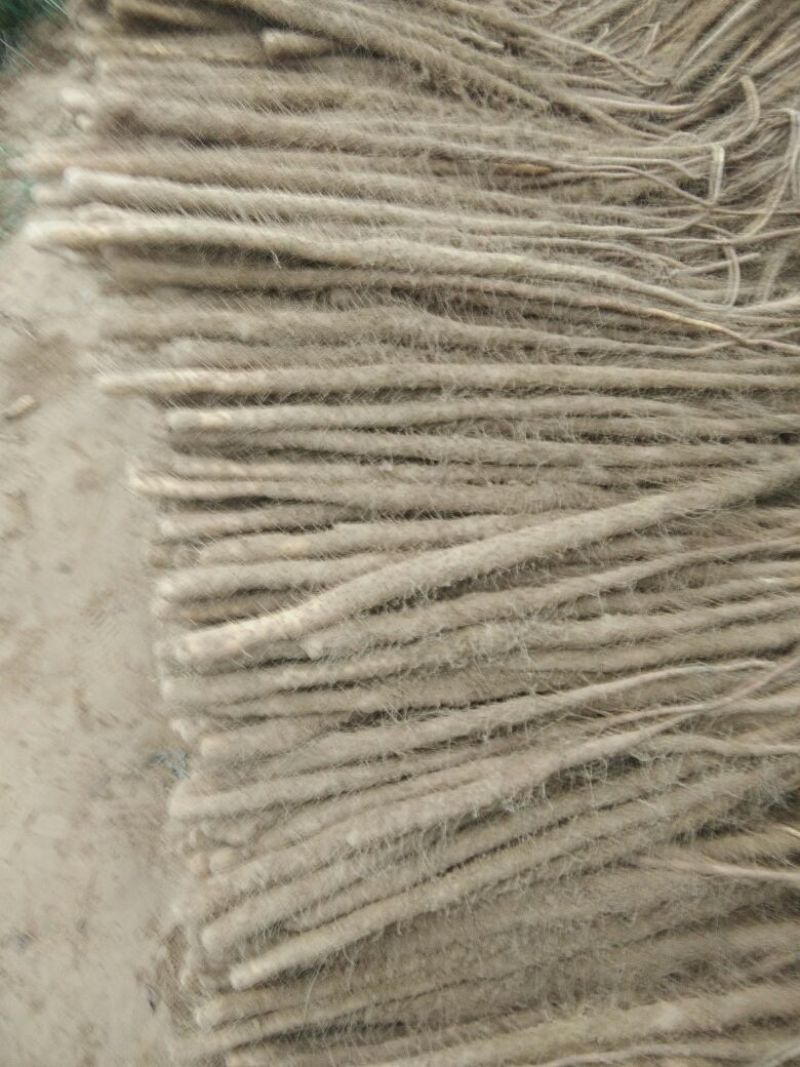 铁棍山药2~3厘米一级通货50~70厘米