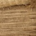 铁棍山药2~3厘米一级通货50~70厘米