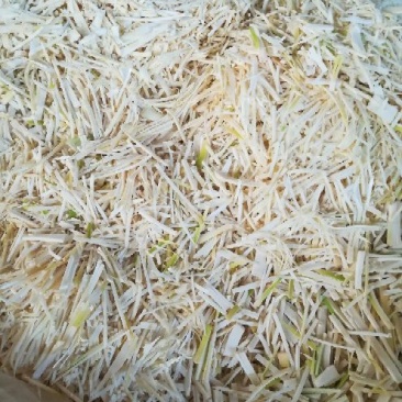 紫荆麻竹酸笋丝，靓货