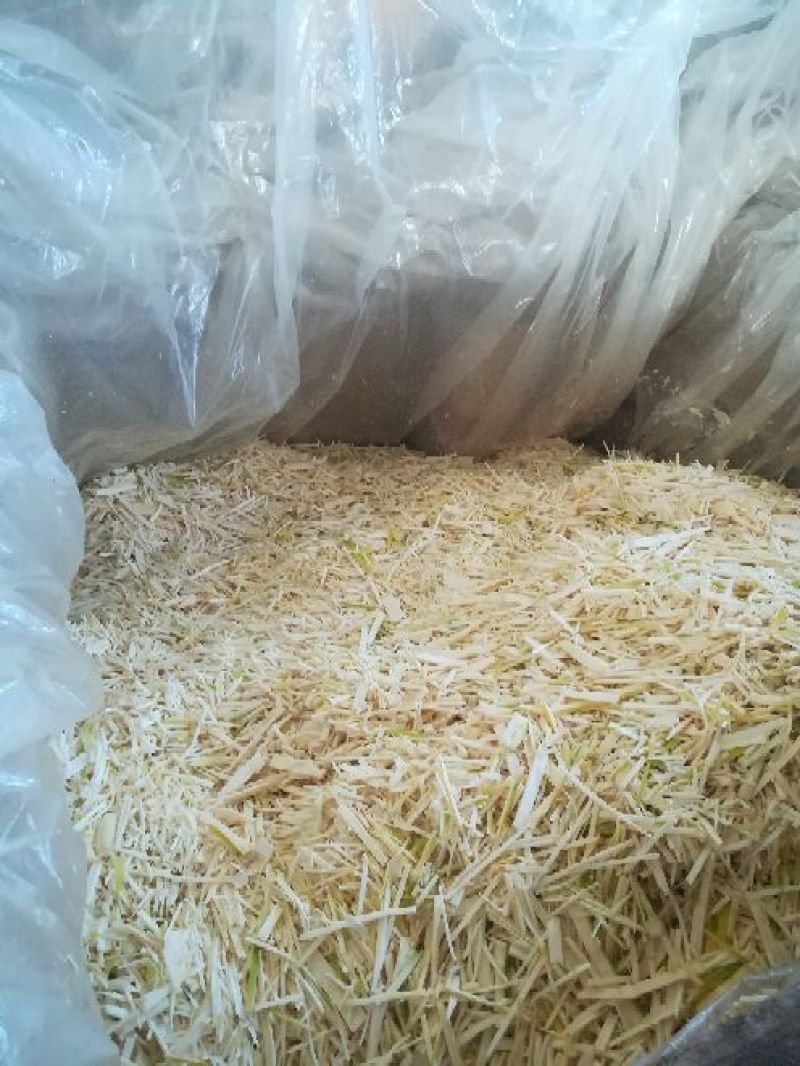 紫荆麻竹酸笋丝，靓货