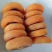 平乐县桂榕农产品专业合作社