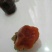 柿饼1~2两
