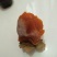 柿饼1~2两
