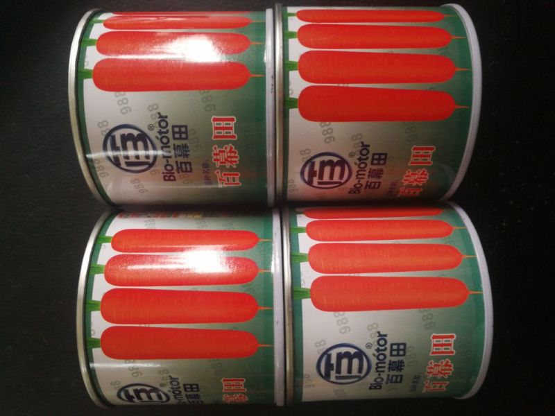 胡萝卜种子