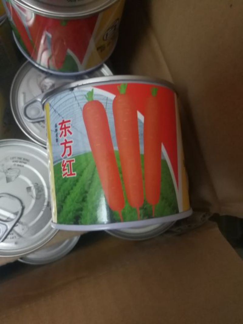 胡萝卜种子