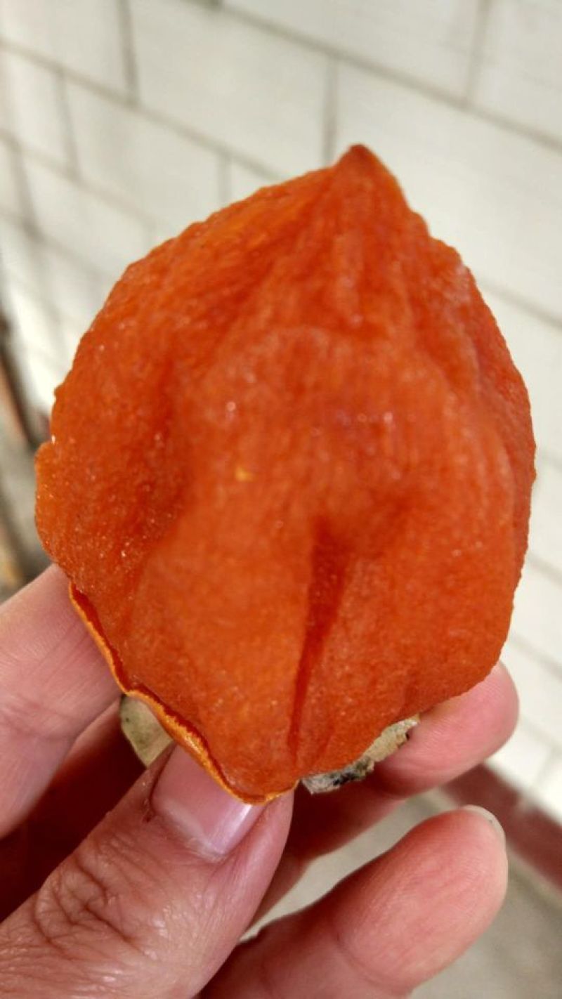 柿饼1~2两