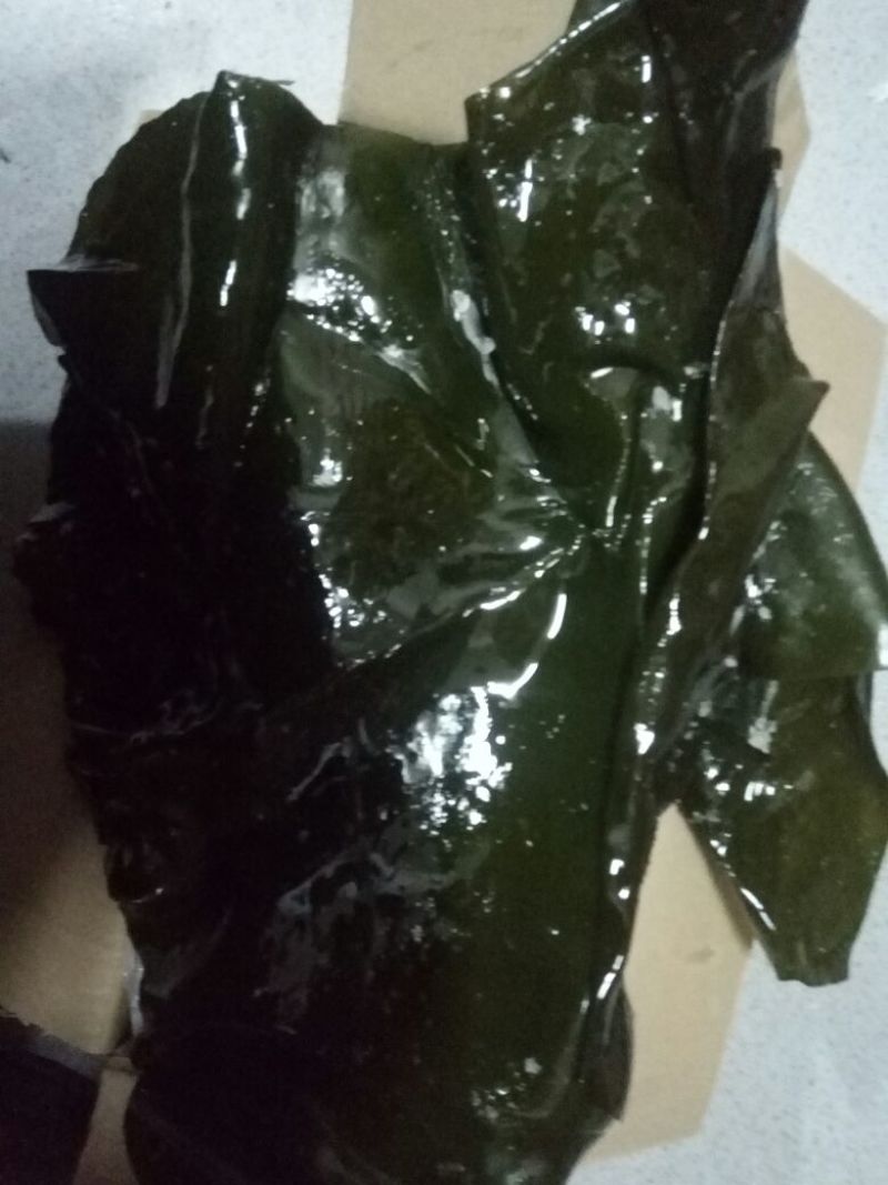 海带头湿
