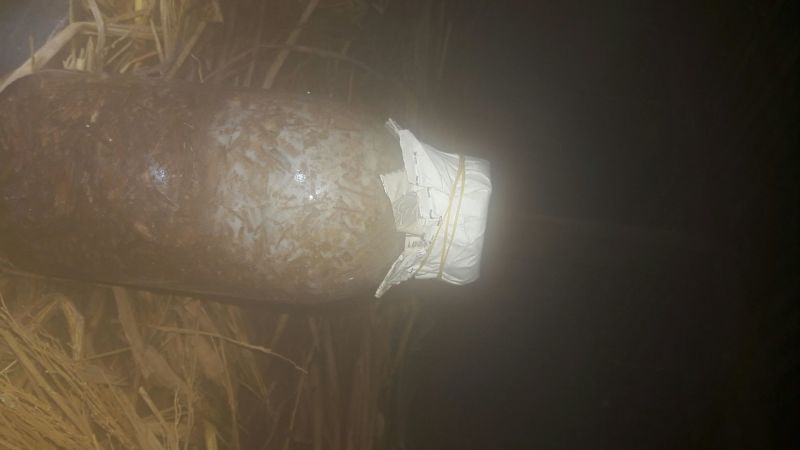 草菇5~6cm以上