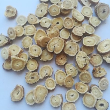 黄芪切片0.5~1.5cm