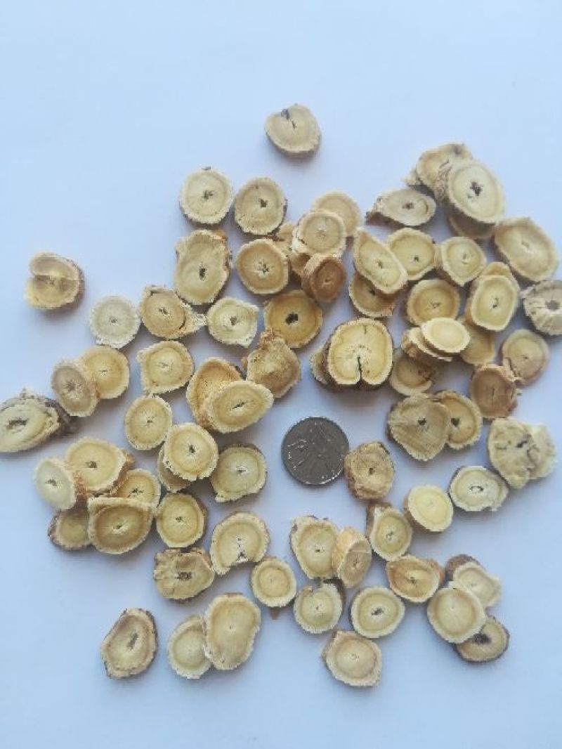 黄芪切片0.5~1.5cm