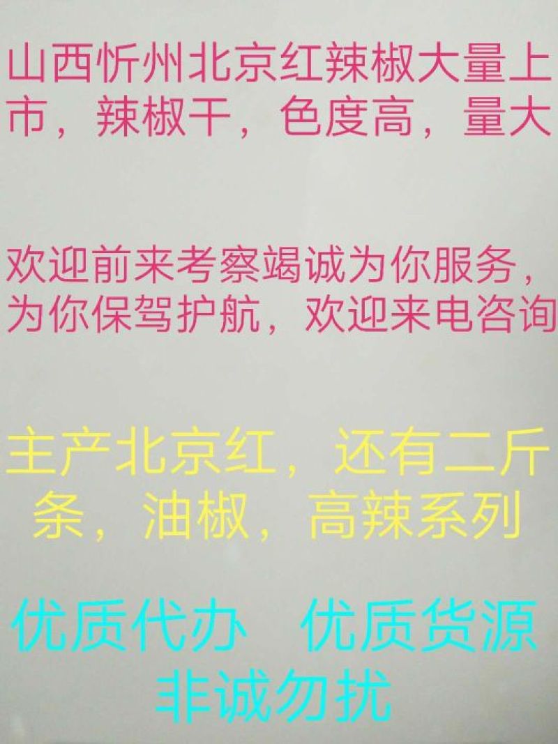 北京红干辣椒9成干以上精品