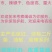 鲜辣椒10~15厘米微辣红