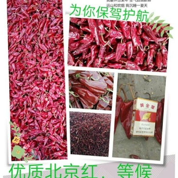 鲜辣椒10~15厘米微辣红