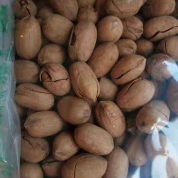 碧根果去皮25~30mm干