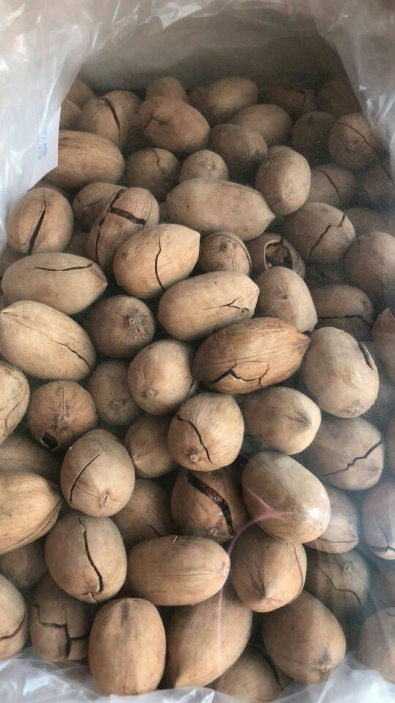 碧根果去皮25~30mm干