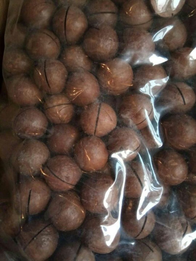 夏威夷果带壳