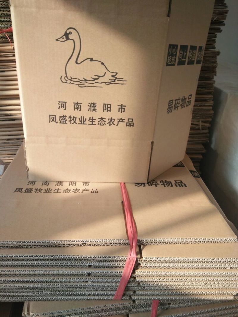 【鹅蛋】正宗土鹅蛋农家新鲜散养土鹅蛋食用批发代发全国